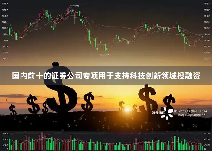 国内前十的证券公司专项用于支持科技创新领域投融资