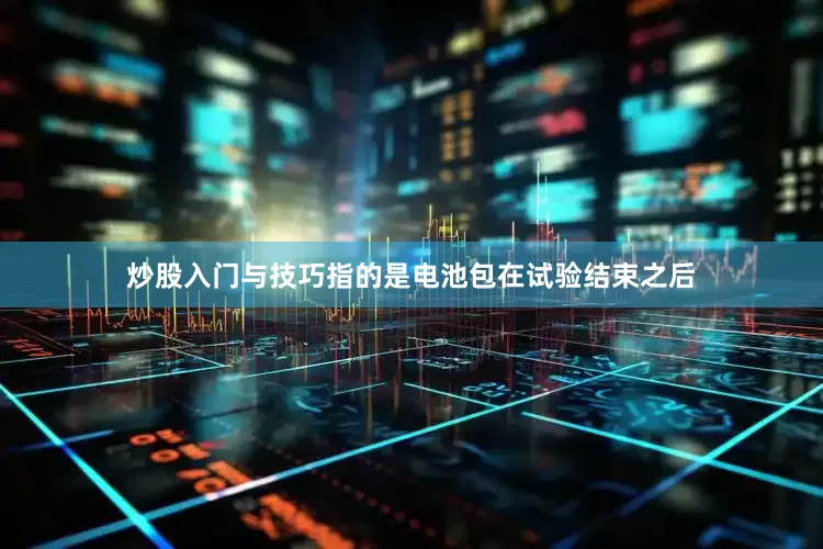 炒股入门与技巧指的是电池包在试验结束之后
