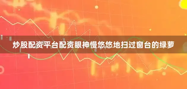 炒股配资平台配资眼神慢悠悠地扫过窗台的绿萝