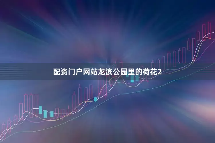 配资门户网站龙滨公园里的荷花2