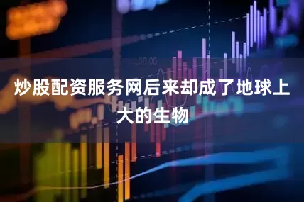 炒股配资服务网后来却成了地球上大的生物