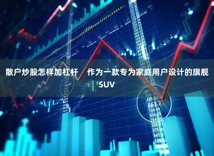 散户炒股怎样加杠杆    作为一款专为家庭用户设计的旗舰SUV